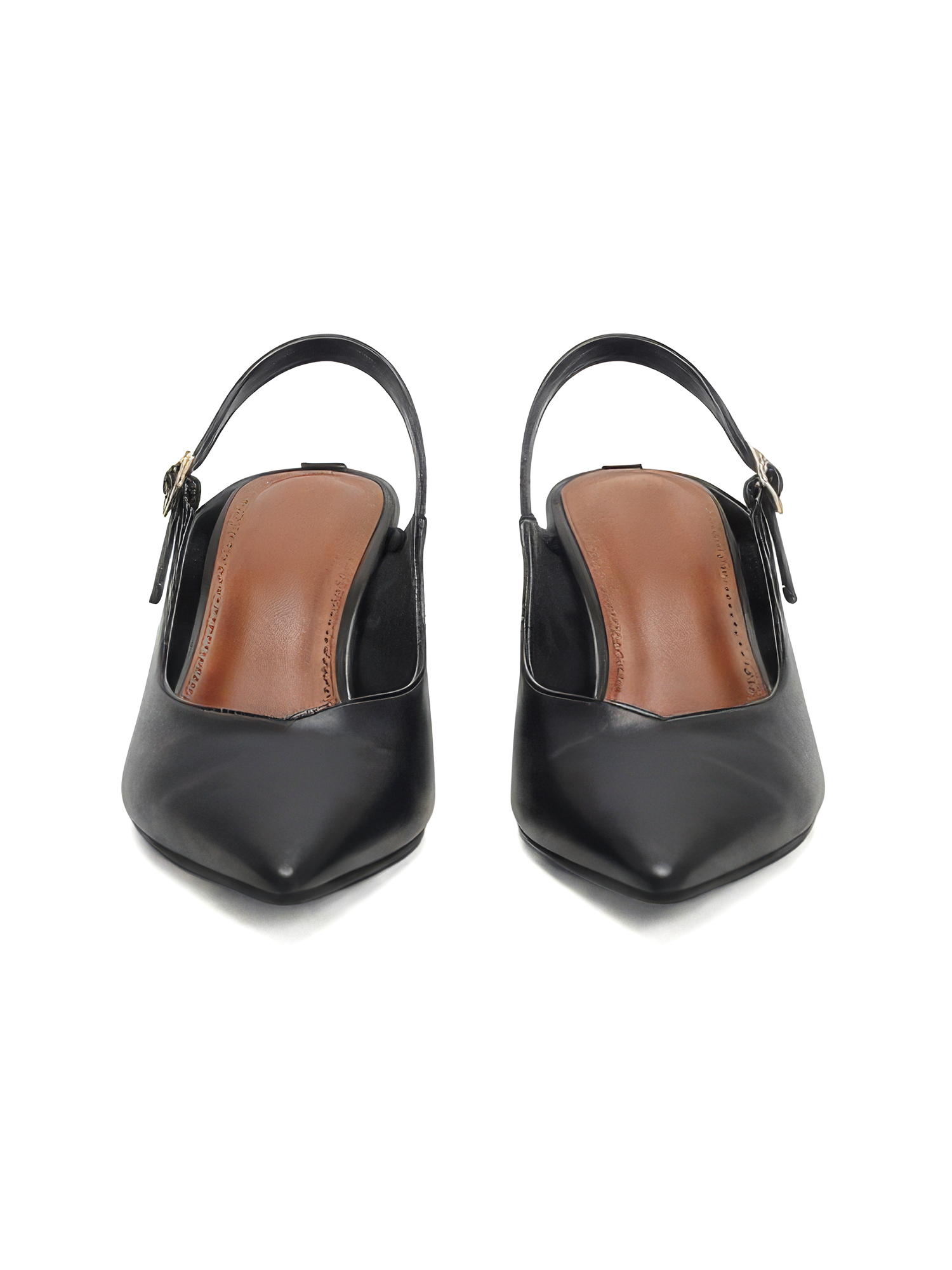 Ava Mules view 11